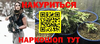 стафф Будённовск