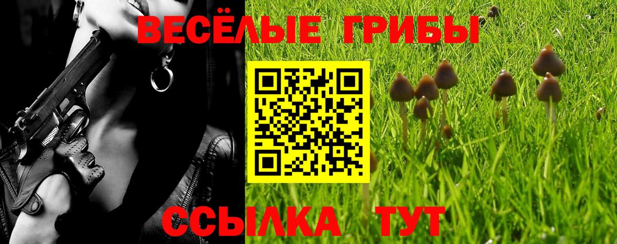 Псилоцибиновые грибы ЛСД Орёл